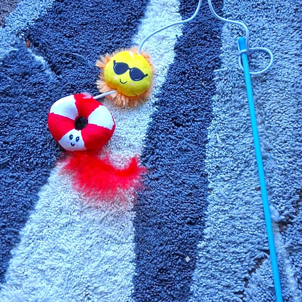 Sun And Feather Fishing pole cat Toy